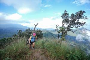 BIB: 
                            <button type="button" onclick="openModal(22371876)" class="btn btn-primary btn-sm float-right btn-popup" data-toggle="modal" data-target=".modal-high-quality">
                        <i class="fas fa-shopping-cart"></i> Add to Cart
                    </button>
                                            <button type="button" onclick="isThisMe(22371876, true)" class="btn btn-success btn-sm float-right btn-popup btn-isme hidden" data-toggle="tooltip" data-placement="bottom" title="นี่คือรูปของคุณใช่ไหม คลิกที่นี่เพื่อเอาเข้าอัลบั้ม">
                        <i class="fas fa-plus"></i> Add to album
                    </button>
                    <button type="button" onclick="isThisMe(22371876, false)" class="btn btn-warning btn-sm float-right btn-popup btn-isnotme hidden">
                        <i class="fas fa-ban"></i> Remove from album
                    </button>